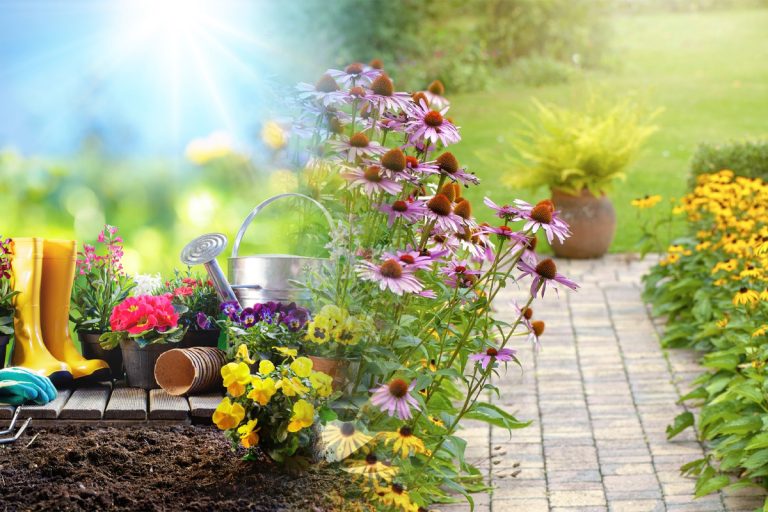 Amestecul banal care elimină dăunătorii din grădină. Cu ce trebuie să stropești plantele. Trucul e de mare ajutor