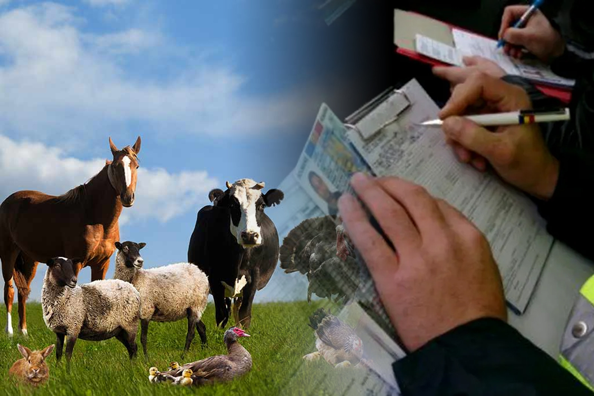 Animalele pe care românii nu vor mai putea să le crească în curte