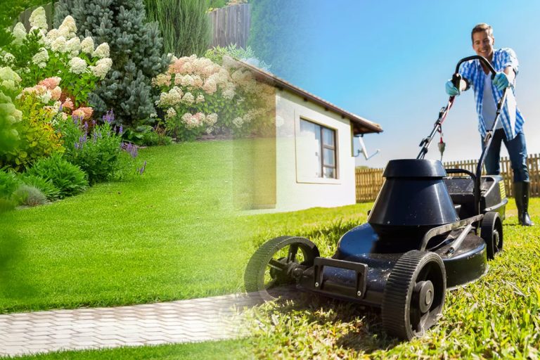 Când se tunde gazonul și cât e bine să iei din el, de fapt. Așa procedează cei mai pricepuți grădinari, regula de aur pentru o curte superbă