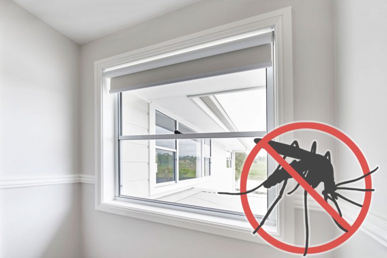 Ce e bine să așezi la geam pentru a alunga țânțarii. Trucul extraordinar pe care trebuie să-l știi