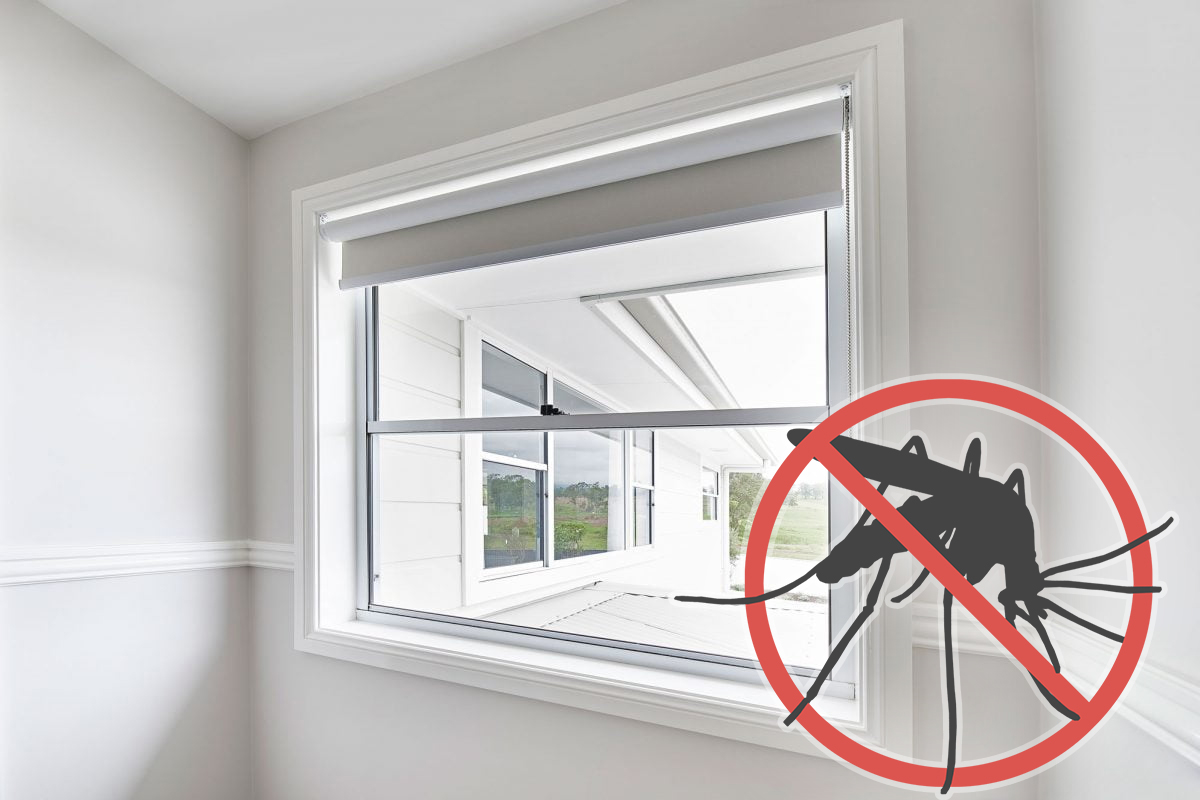 Ce e bine sa asezi la geam pentru a alunga tantarii. Trucul extraordinar pe care trebuie sa-l stii