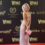 Cele mai spectaculoase ținute de la petrecerea VIVA 28