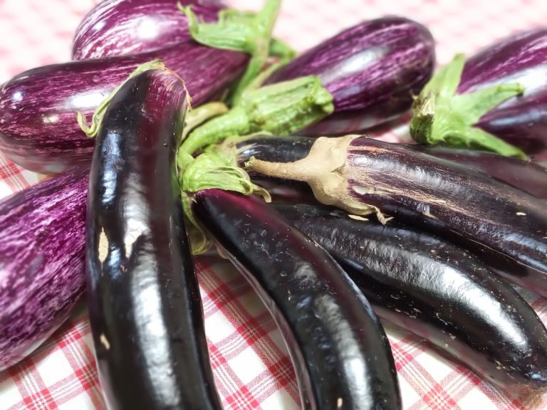 Cum alegi corect vinetele de la piață sau din magazin. Trucul pe care trebuie să-l știi pentru a evita legumele amare