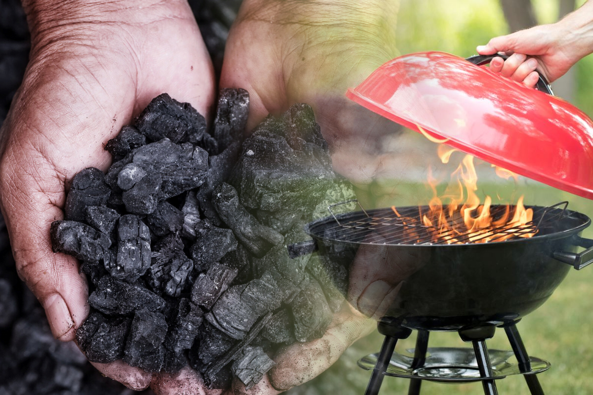 De ce sa nu folosesti niciodata carbuni cand faci gratar. Putina lume stie asta