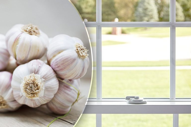 De ce să pui câțiva căței de usturoi la fereastră. Trucul e genial, te scapă de o mare problemă