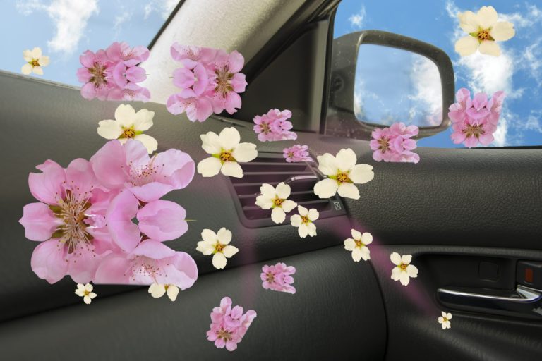 Cum să-ți faci un odorizant de mașină. E chiar simplu și ușor de realizat, elimină bacteriile și oferă un miros plăcut