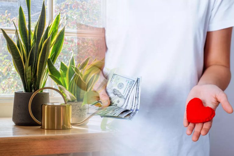 Planta de apartament care aduce noroc. Atrage banii și dragostea în viața ta