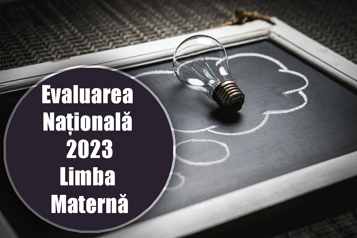 Rezolvare subiecte Evaluarea Națională 2023 la limba maternă