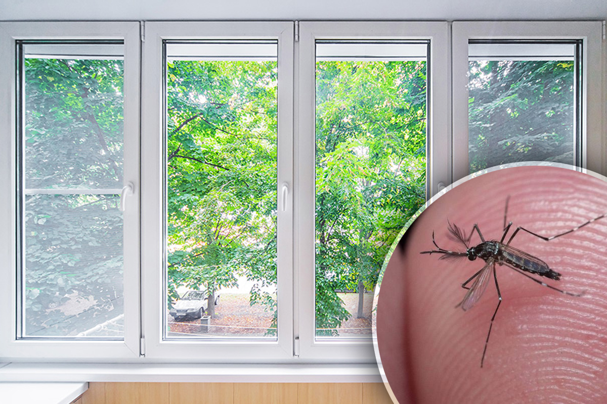 Trucul care ține țânțarii la distanță