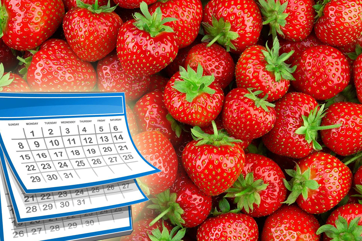 Trucul genial care te ajută să păstrezi căpșunile proaspete mai mult timp. Așa nu se vor strica, metoda e chiar banală