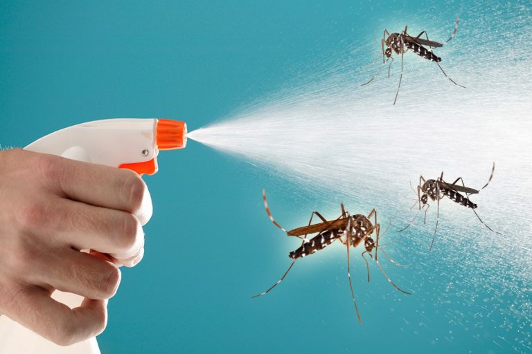 De ce să pulverizezi oțet pe tocurile geamurilor din casă. Trucul e incredibil, te scapă de o mare problemă