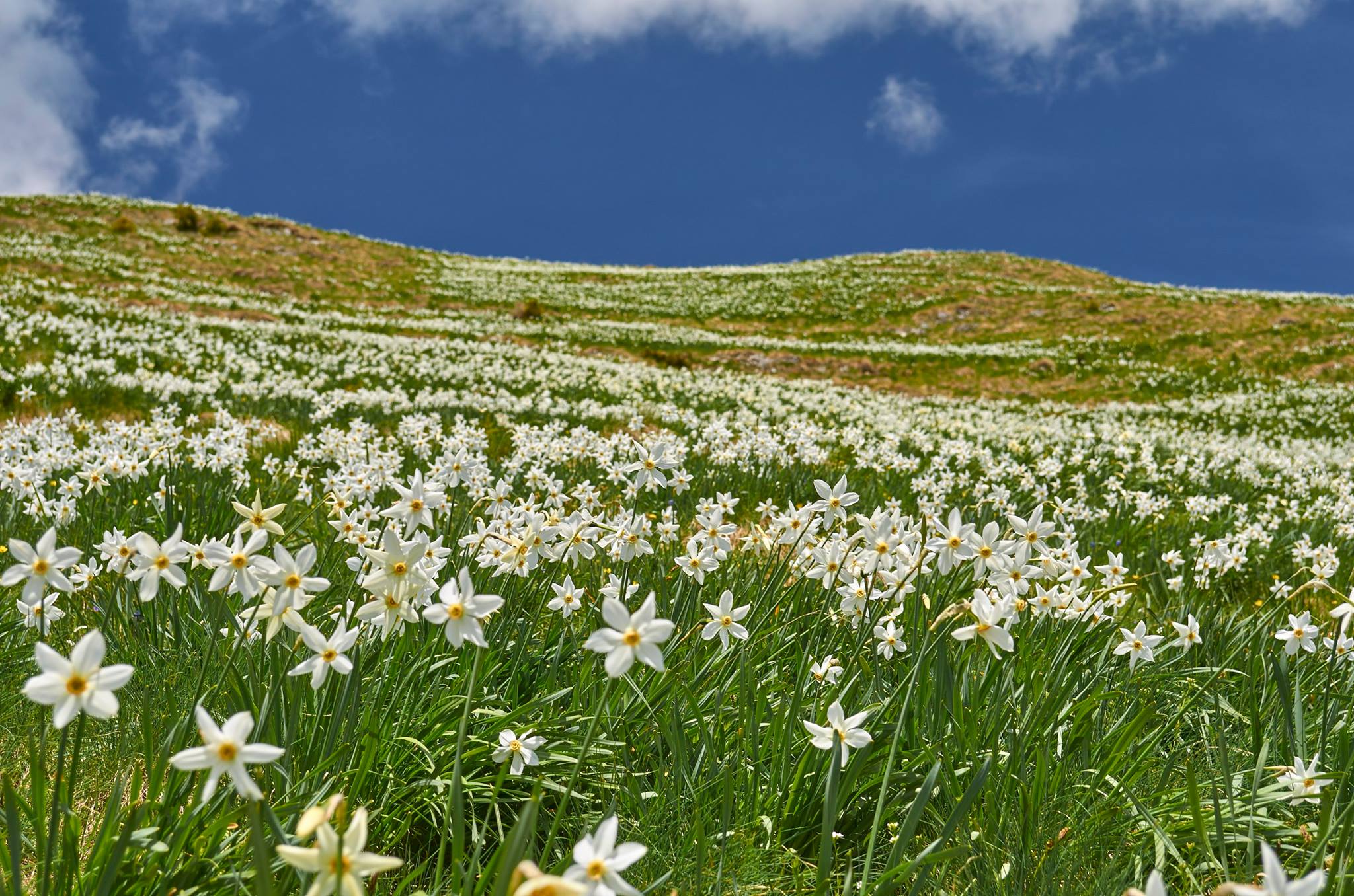Locul din România unde oamenii nu au voie să fotografieze sau să filmeze