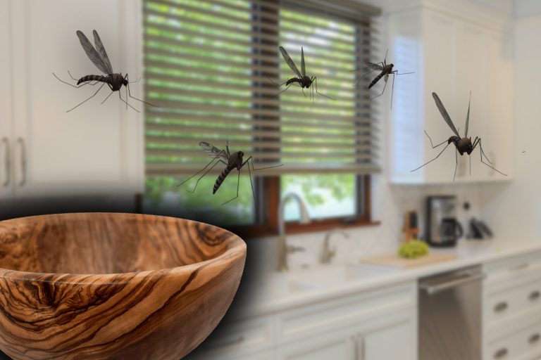 Metoda ieftină care te scapă de insecte. Trucul mai puțin cunoscut în România face minuni