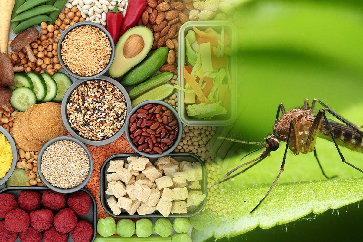 Alimentele pe care tantarii le detesta. Ce sa consumi ca sa nu te mai piste niciodata