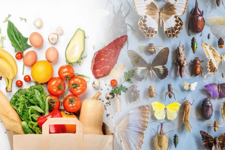 Alimentul banal care alungă insectele din casă. Metoda virală