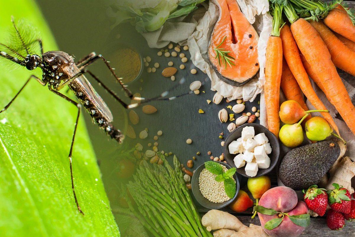 Alimentul care alunga tantarii. Este aliatul ideal impotriva acestor insecte, cum trebuie sa-l folosesti de fapt