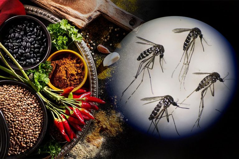 Amestecul puternic care te scapă de țânțari. Ingredientele se găsesc în orice gospodărie, trucul rezolvă o mare problemă