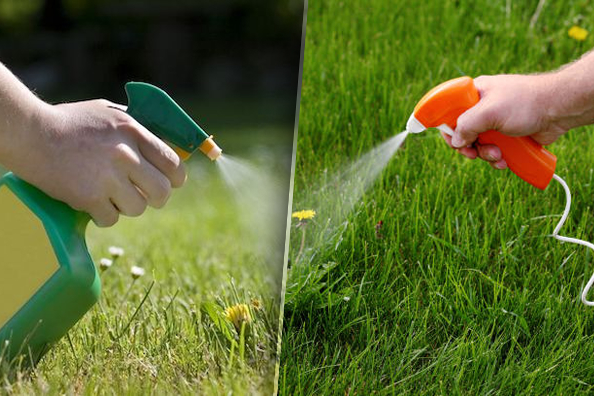 Care este cel mai bun erbicid natural