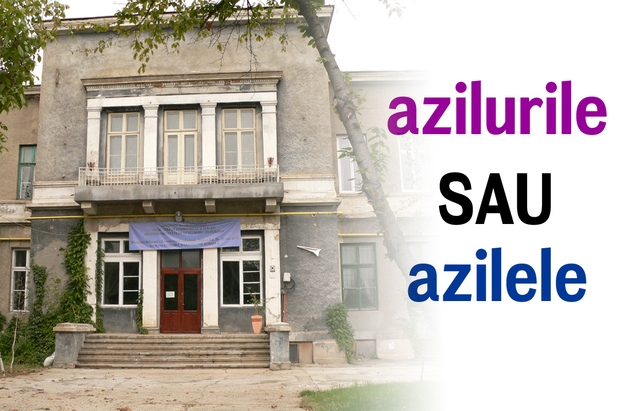 Care este pluralul cuvântului azil