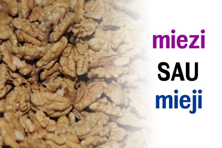 Care este pluralul cuvântului miez. Mulți români fac greșeala