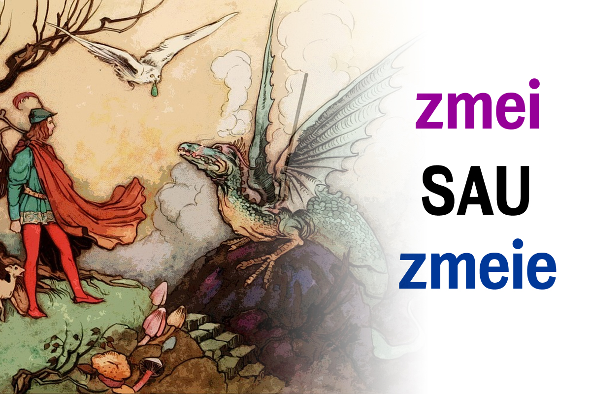 Care este pluralul cuvantului zmeu. Prea putini romani stiu forma corecta, asa nu te mai faci de ras