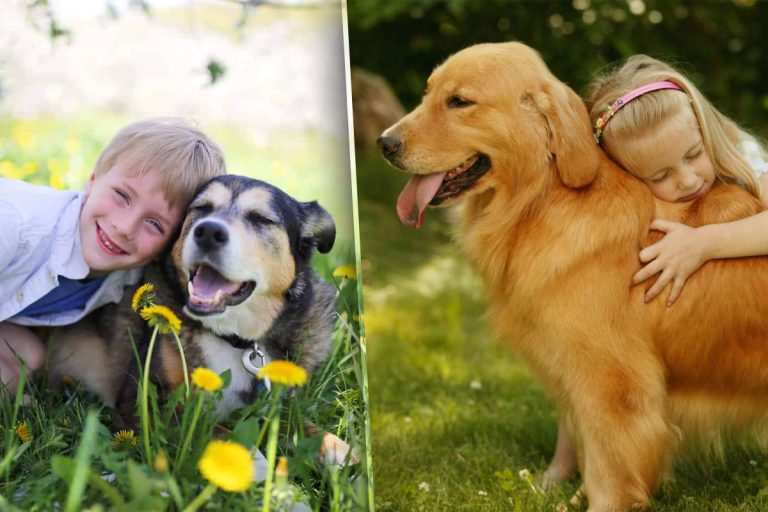 Care sunt cele mai bune rase de câini pentru copii. Devin imediat prieteni pe viață