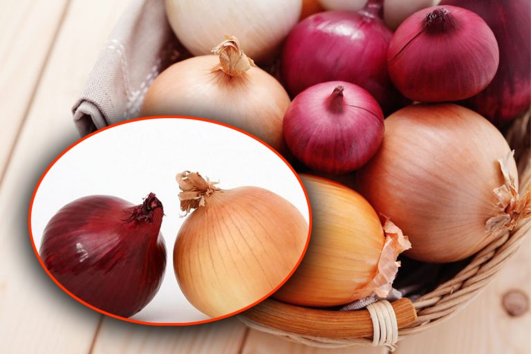 Ce să faci cu ceapa după recoltare. Metoda inedită de depozitare care o va păstra proaspătă mai mult timp