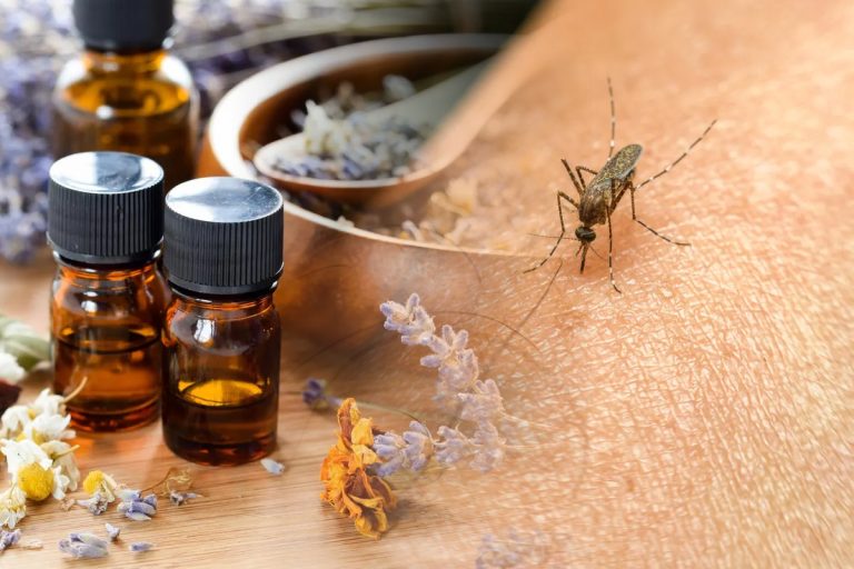 Cele 3 uleiuri esențiale care țin țânțarii la distanță. Nu trebuie să-ți lipsească din casă, sunt de mare ajutor