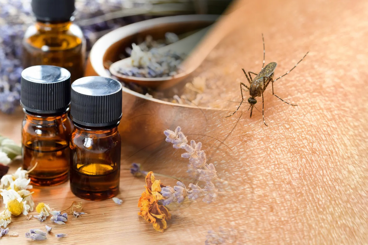 Cele x uleiuri esentiale care tin tantarii la distanta. Nu trebuie sa-ti lipseasca din casa, sunt de mare ajutor