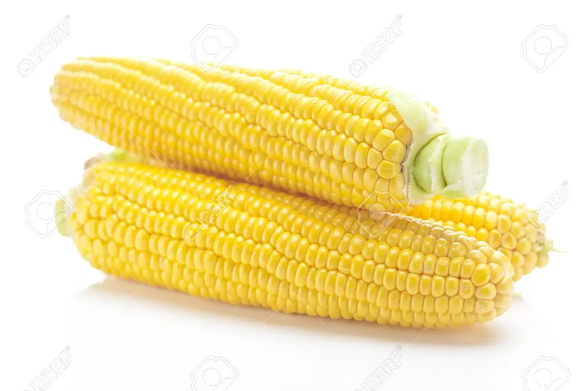 Cum alegem cel mai bun porumb