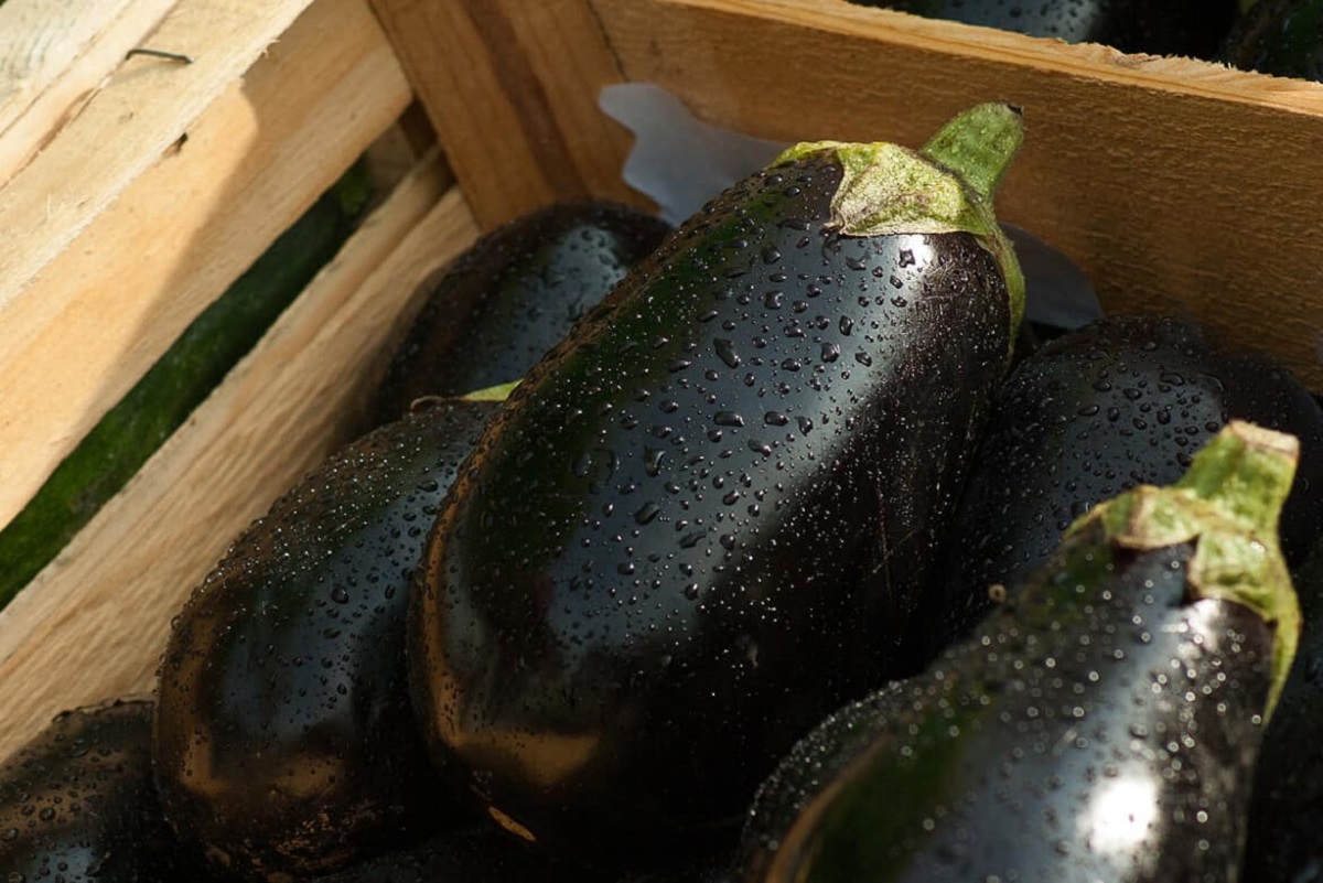 Cum se curata corect vinetele, ai procedat gresit toata viata. De asta iese salata amara si fada