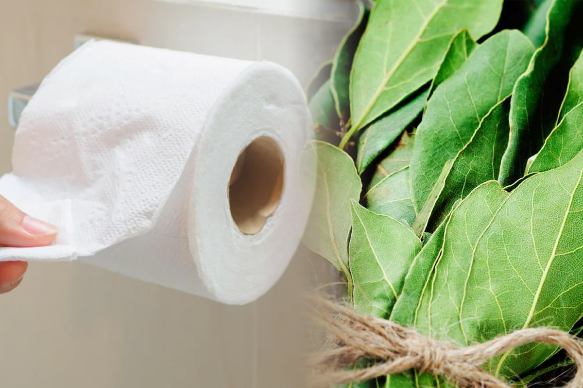 De ce ar trebui sa pui o frunza de dafin pe hartia igienica