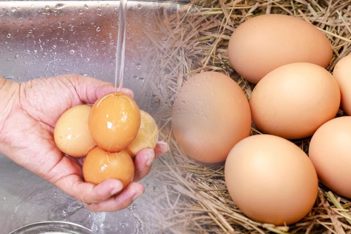 De ce nu e bine sa speli ouale de tara. Greseala pe care o fac foarte multi romani