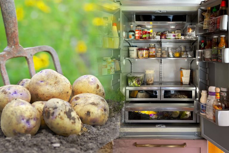 De ce să pui un cartof crud în frigider. Trucul este folosit cu succes în majoritatea bucătăriilor, uimitor ce se întâmplă