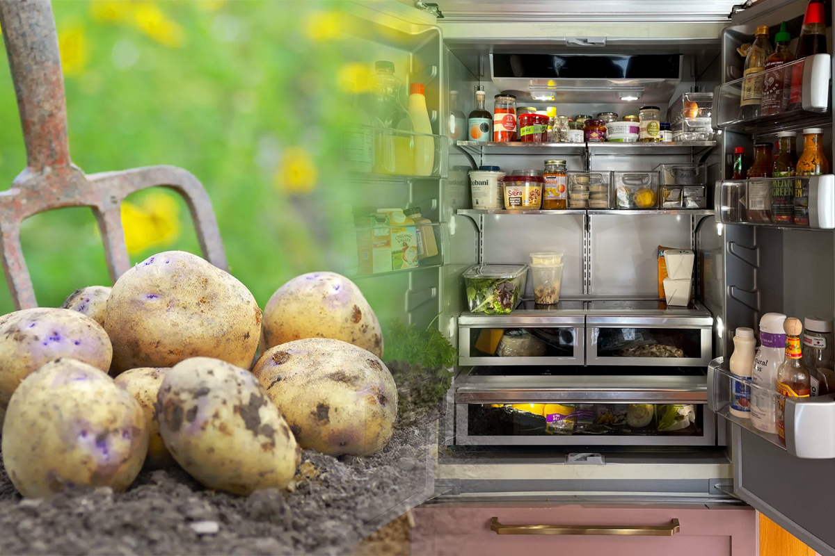 De ce să pui un cartof crud în frigider