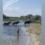 Fiica Elenei Udrea si a lui Adrian Alexandrov 1