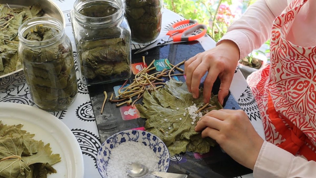 Frunze de viță de vie pentru iarnă