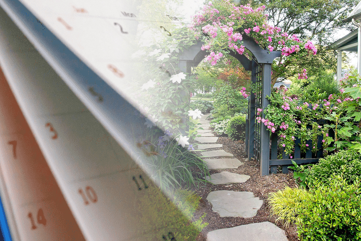 Greselile pe care le faci in luna august, in gradina. Putini stiu ca dauneaza recoltei