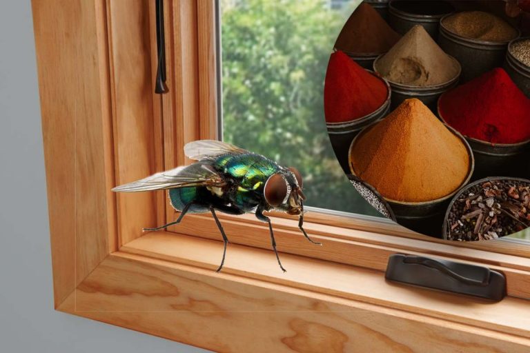 Ingredientul banal care te scapă imediat de insecte, ce să presari prin bucătărie. Cel mai ușor și eficient truc