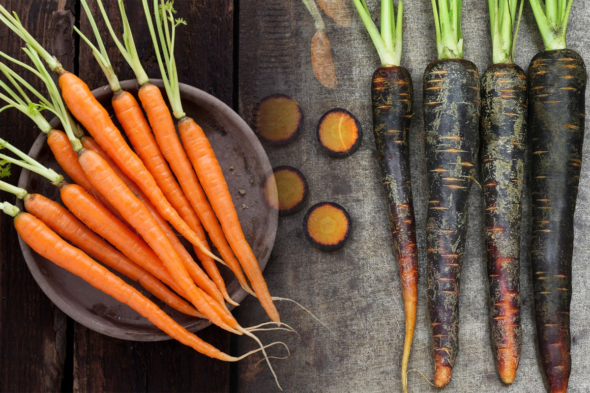 Nu arunca morcovii care s-au innegrit. Asa ii salvezi imediat. E trucul secret al marilor bucatari