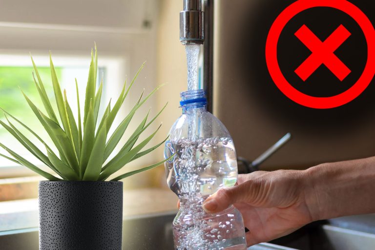 Nu mai uda florile cu apă de la robinet. Semnele de pe plante care îți arată că faci o mare greșeală