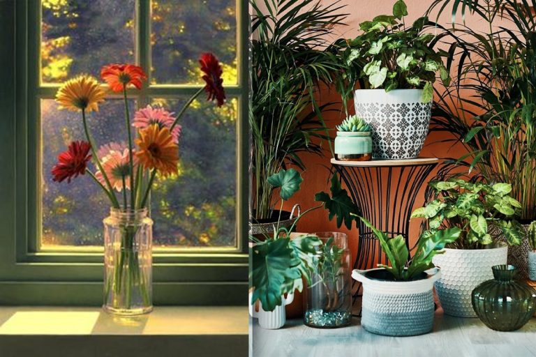 Nu pune niciodată aceste flori lângă geam. Greșeala pe care mulți o fac