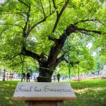 Obiective turistice în Iași