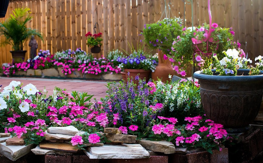 Plante care infloresc noaptea. Sunt ideale vara pentru gradina ta