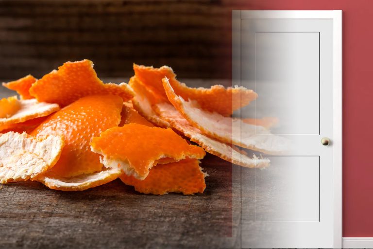 Pune cojile de portocală pe mânerul ușii de la intrare. Trucul e absolut formidabil, ce problemă neplăcută rezolvă în casă