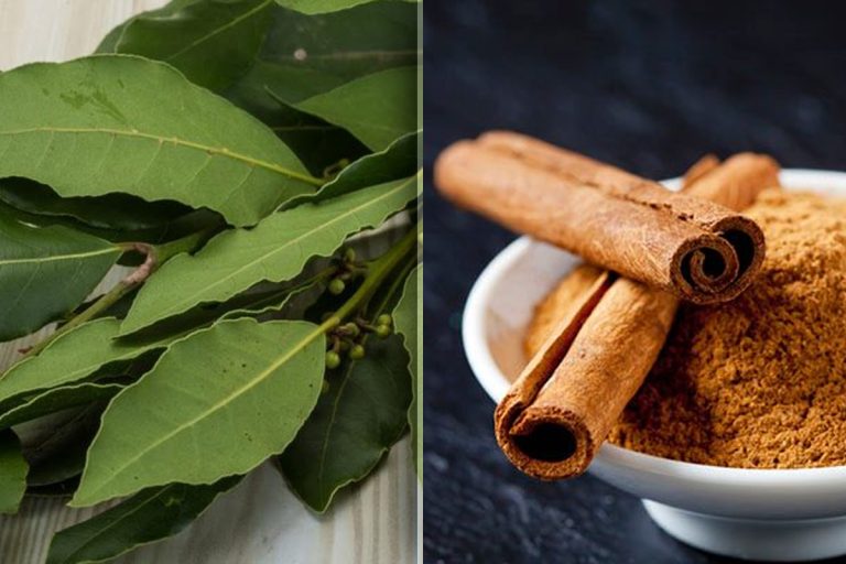 Trucul cu dafin și scorțișoară pe care toate femeile trebuie să-l știe vara. Vei fi surprinsă de rezultate