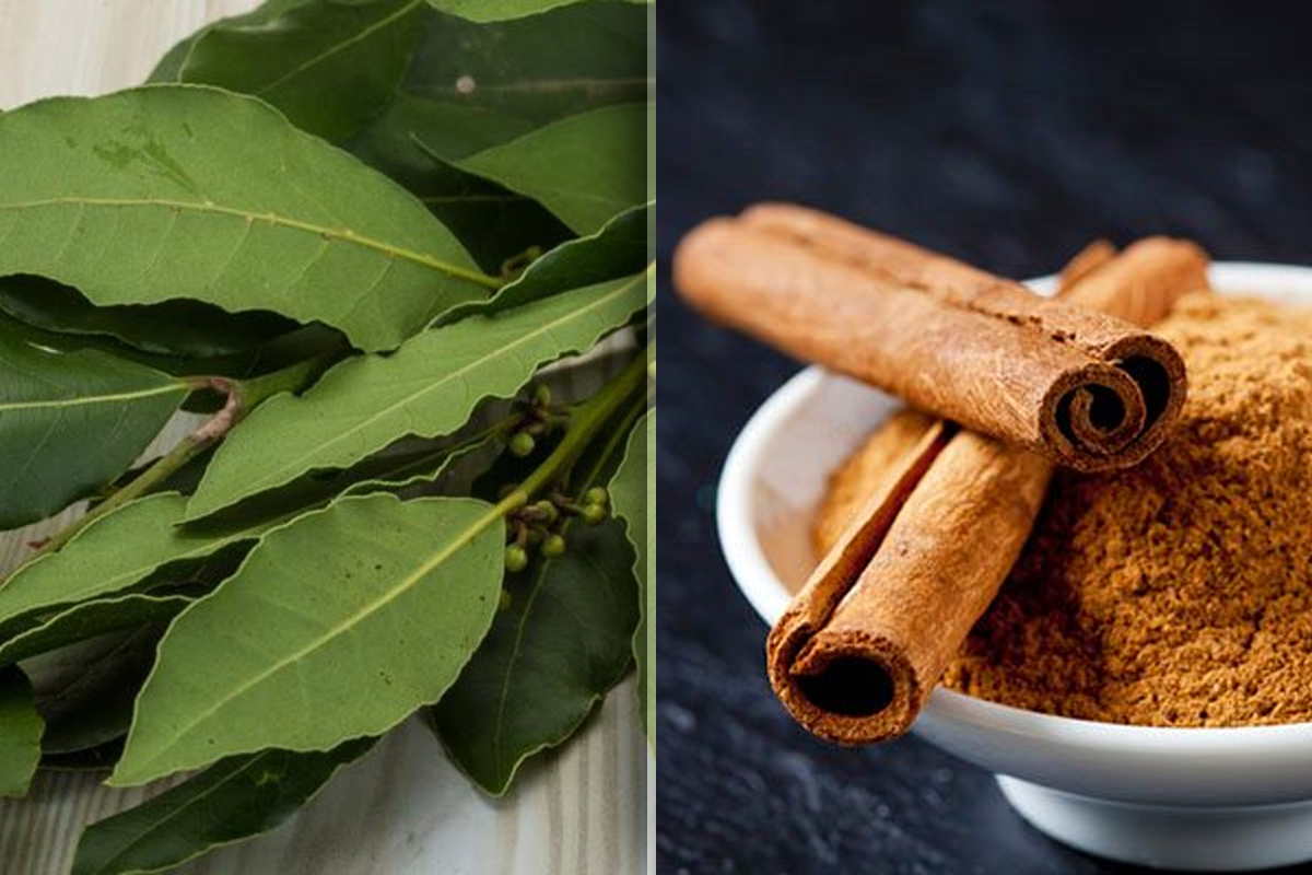 Trucul cu dafin si scortisoara pe care toate femeile trebuie sa-l stie vara. Vei fi surprinsa de rezultate