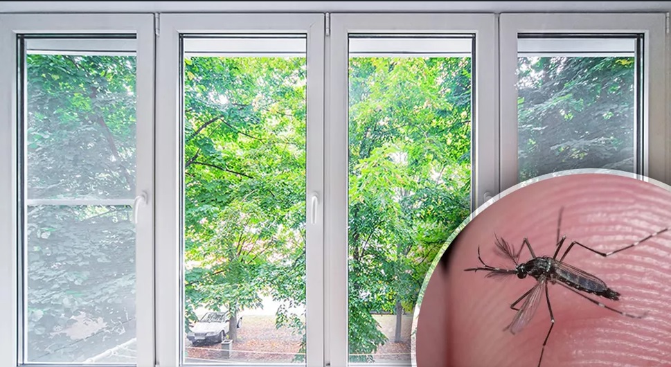 Trucul extraordinar care ține țânțarii la distanță fără să fii nevoit să închizi ferestrele
