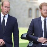 Toată lumea ii stie pe William si Harry, insa putini o cunosc pe sora lor. Cum arata Laura