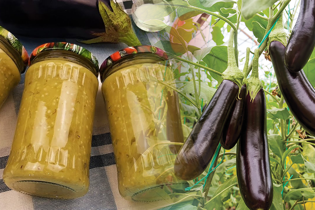 5 greseli mari cand pui vinetele la borcan. De asta ies amare si nu se conserva bine